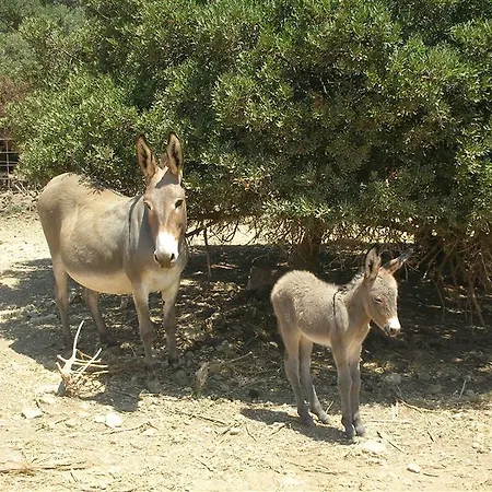 Podere Monte Sixeri - Le Residenze *